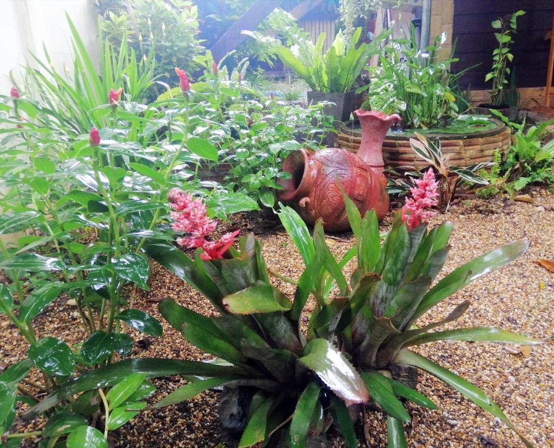Homestay Chiangrai Chiang Rai Zewnętrze zdjęcie